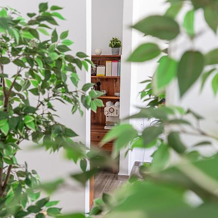 Fuerte Hygge Apartment Тарахалехо Екстериор снимка