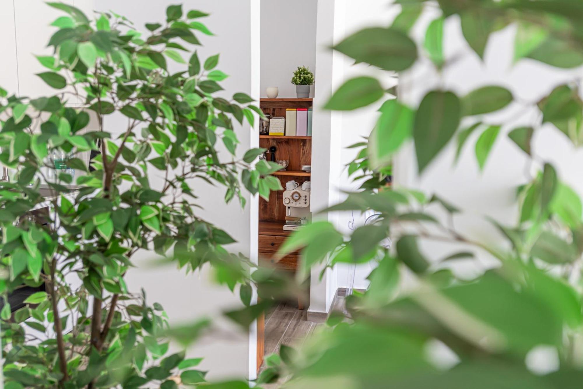 Fuerte Hygge Apartment Тарахалехо Екстериор снимка
